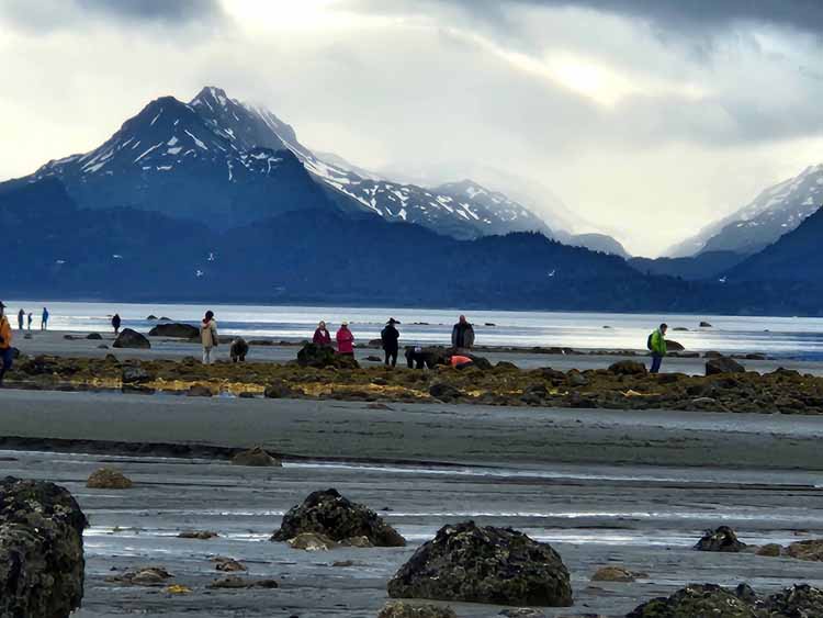 beach at low tide